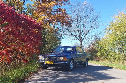 Mercedes W 123