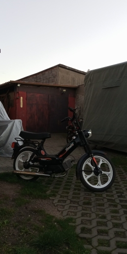 Tomos A3 - 2005