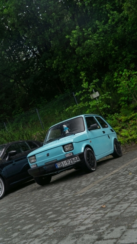 126p  126 EL - 2000