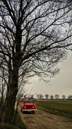 Żuk Żuk - 1984
